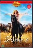 Stormy 3