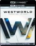 Westworld - Season 2 (Box Set) (4K Ultra HD + Blu-ray)
